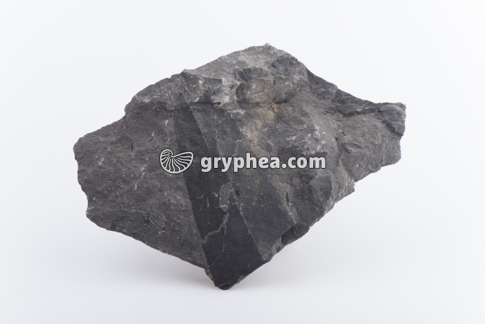 Schiste (Col du Galibier) - gryphea.com